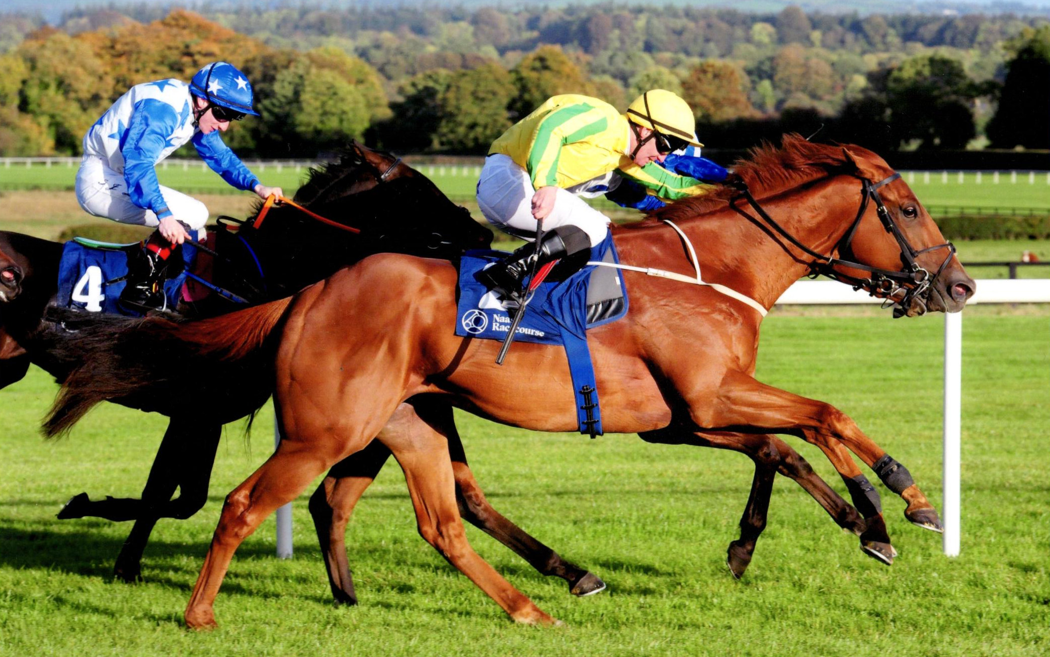 OMRAN gets his head in front of stablemate Bucky Larson at Naas, 30th September 2018